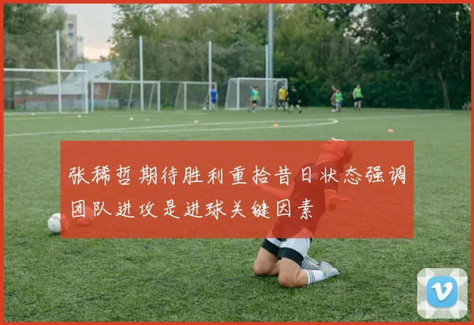 张稀哲期待胜利重拾昔日状态强调团队进攻是进球关键因素
