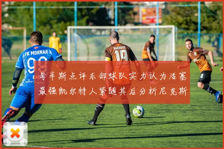 考辛斯点评东部球队实力认为活塞最强凯尔特人紧随其后分析尼克斯不足之处